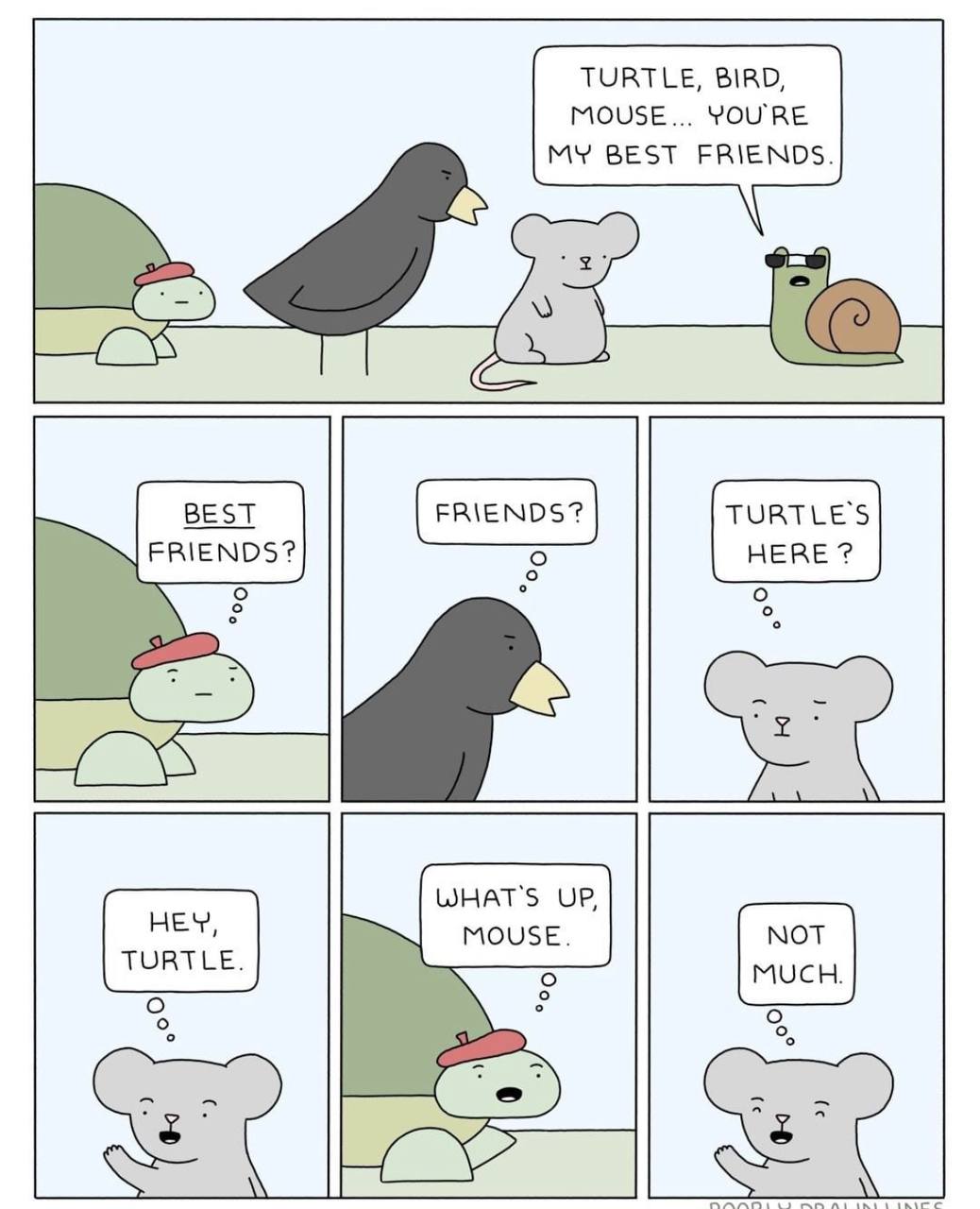 TURTLE, BIRD, MOUSE... YOU'RE MY BEST FRIENDS. BEST TURTLE'S FRIENDS? 5 HERE? о WHAT'S UP, MOUSE. NOT TURTLE.