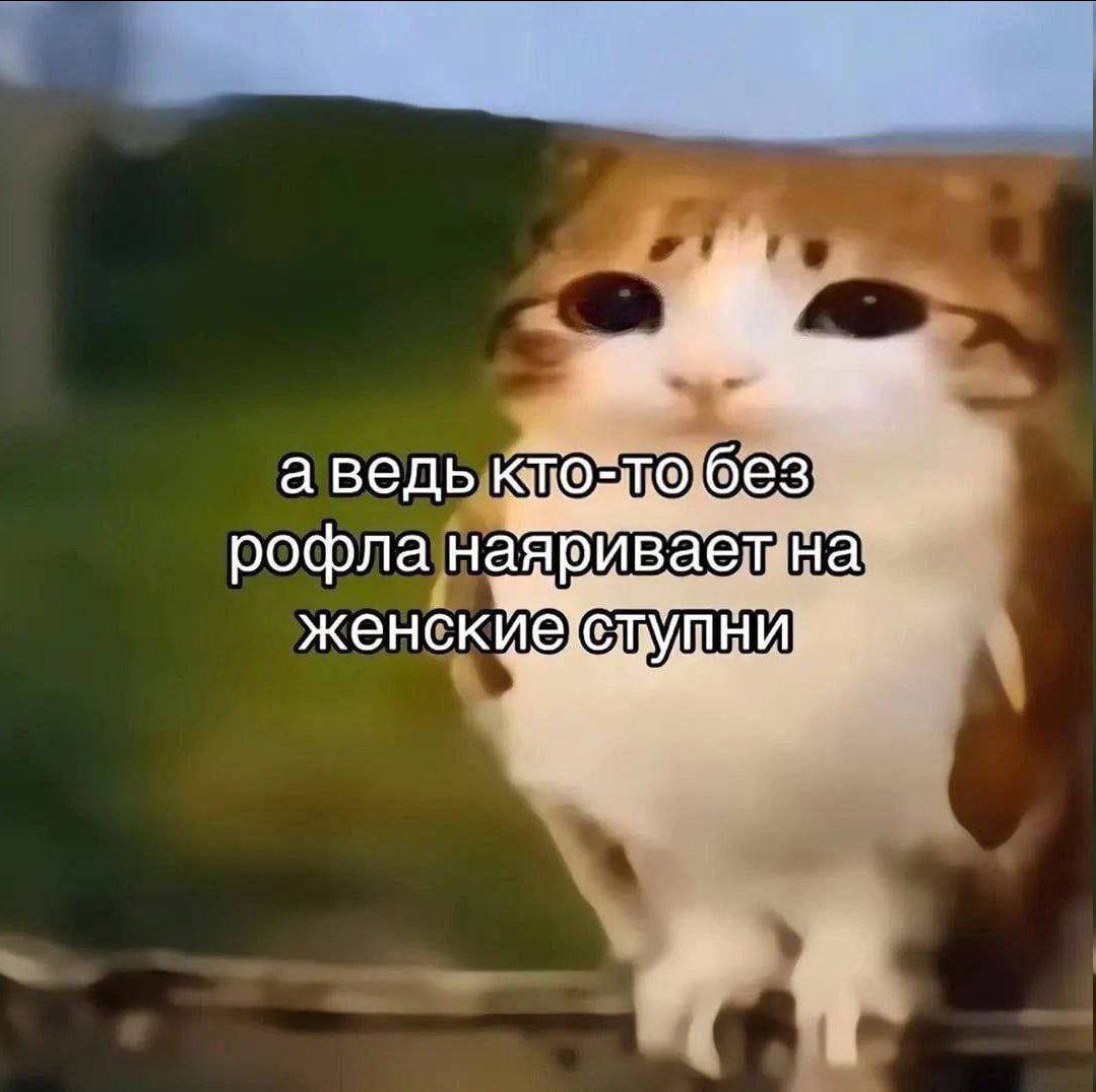 аведь рофла женск a