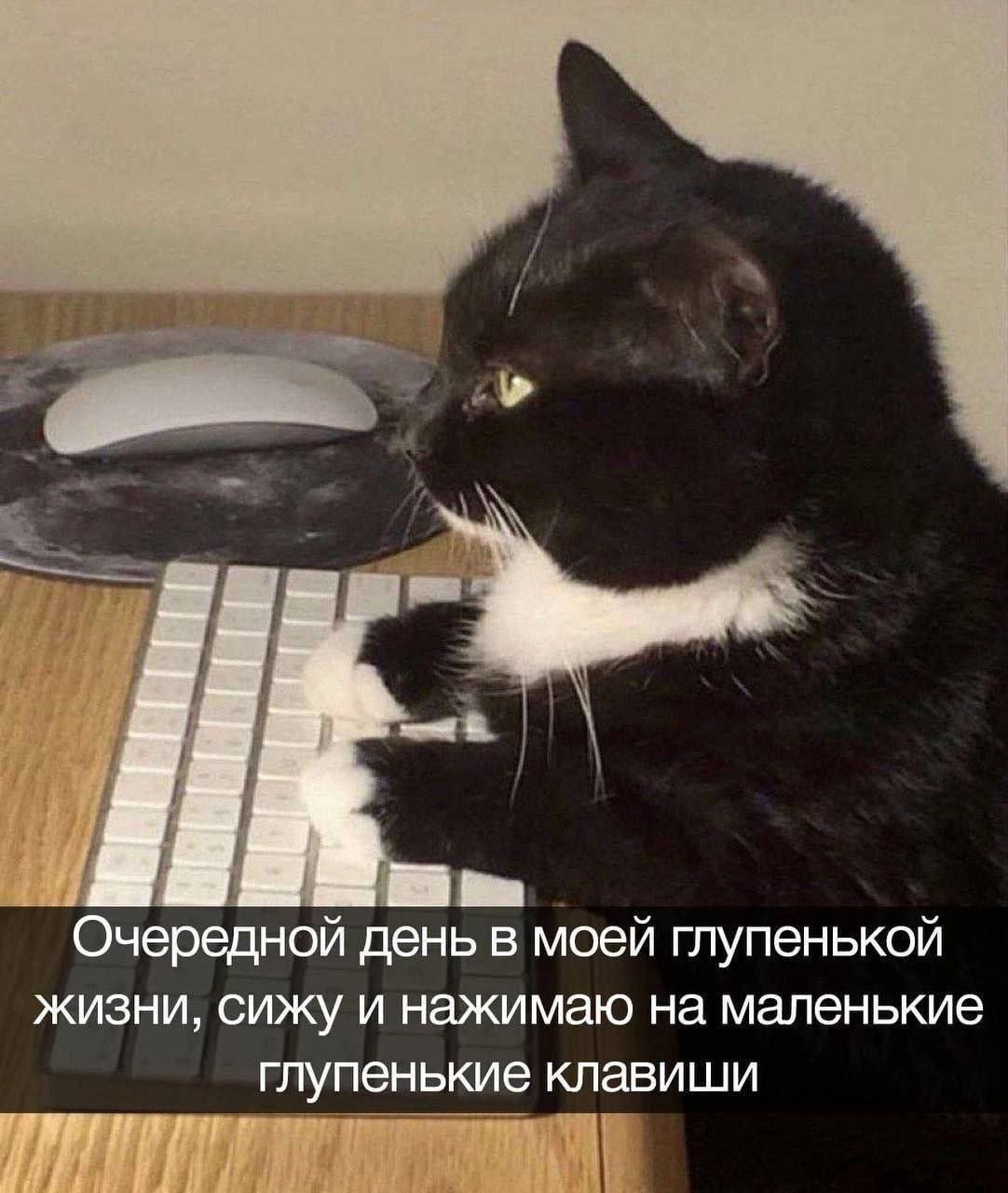 Очередной день в моеи глупенькои жизни, сижу и нажимаю на маленькие глупенькие клавиши