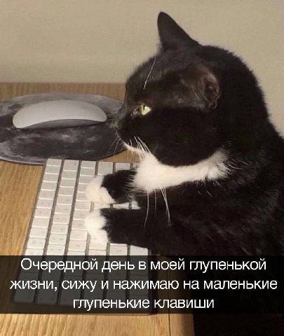 Очередной день в моеи глупенькои жизни, сижу и нажимаю на маленькие глупенькие клавиши