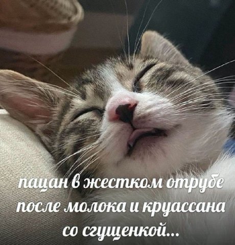 пацан 6 жестком отр после молока и круассана сгущенкой...