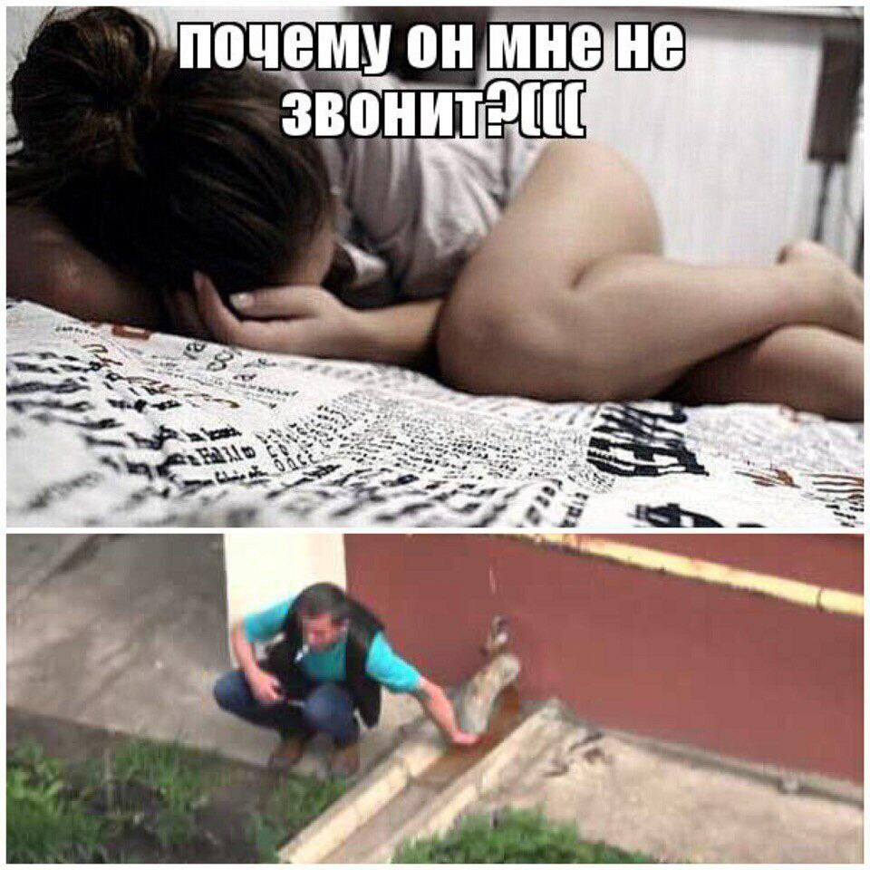 почему мнене