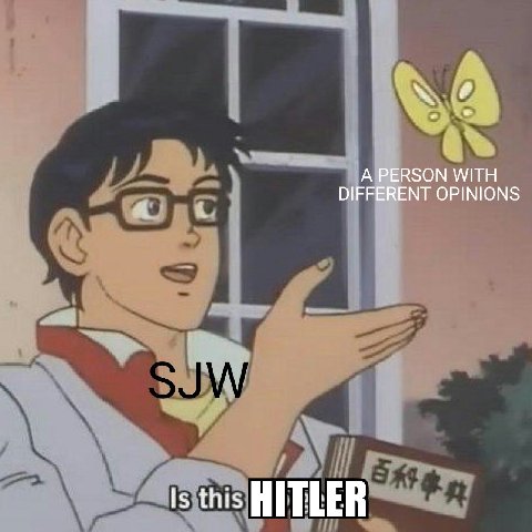 А PERSON WITH DIFFERENT OPINIONS this HITLER