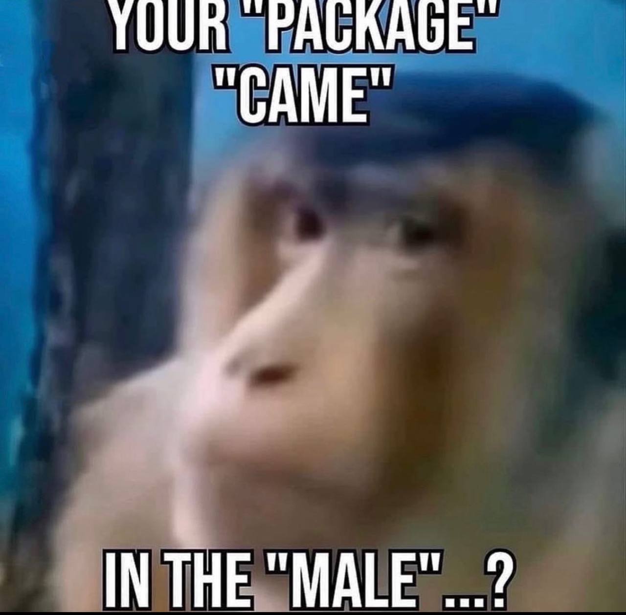 IN