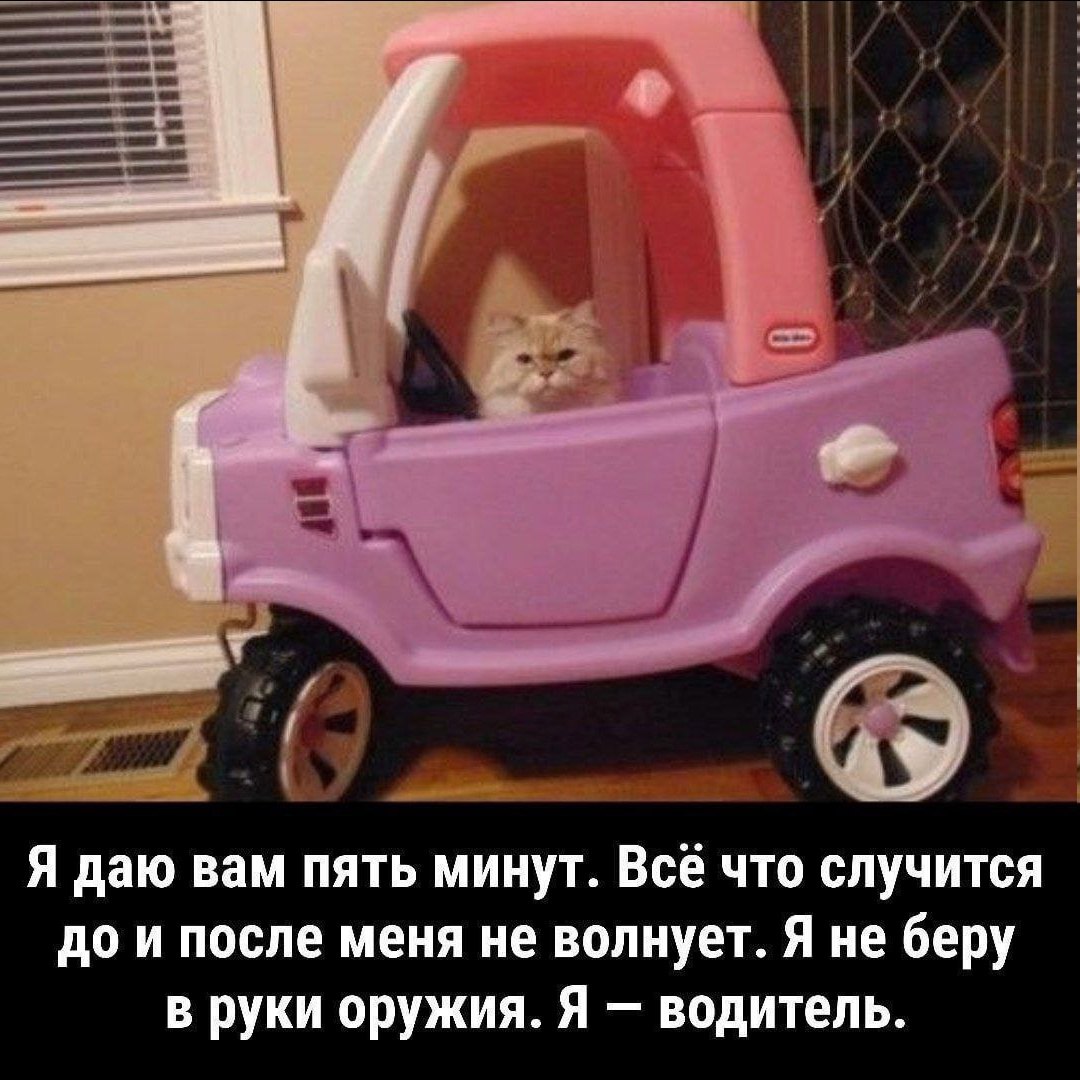 fii Я даю вам пять минут. Всё что случится до и после меня не волнует. Я не беру в руки оружия. Я водитель.