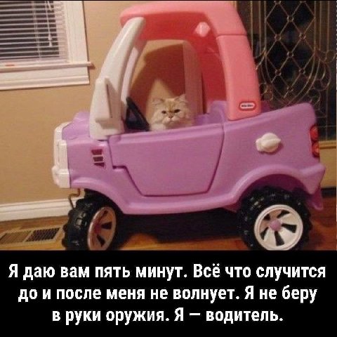 fii Я даю вам пять минут. Всё что случится до и после меня не волнует. Я не беру в руки оружия. Я водитель.