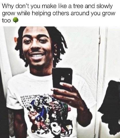 Why don’t you make like а tree and slowly grow while helping others around you grow too