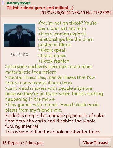 Anonymous Tiktok ruined gen and millen(...) 01/07/23(Sat)07:53:10 No.71725999 >You're not on tiktok? You're weird and will not fit in >Every women expects relationships like the ones posted in tiktok 