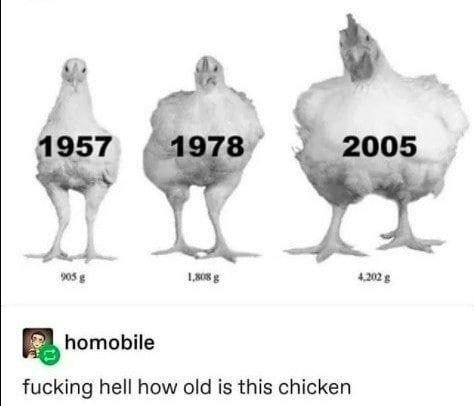 905 1,808 4.202 в homobile fucking hell how old is this chicken