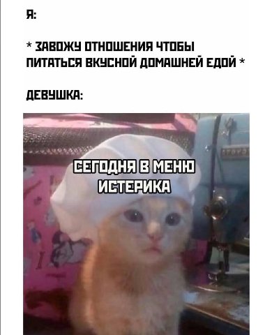 Я ЗАВОЖУ ОТНОШЕНИЯ ЧТОБЫ ПИТАТЬСЯ ВКУСНОЙ ДОМАШНЕИ ЕДОИ ДЕВУШКА ИСТЕРИКА