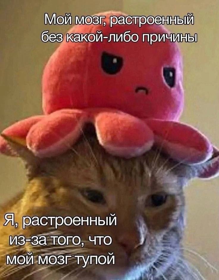 Мой мозг, растроенный без какой-либо причины Я, растроенный из-за того, что мой мозг тупой