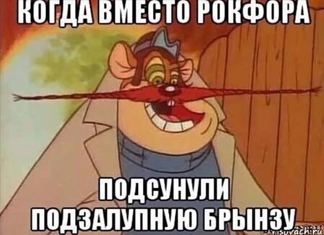 ВМЕСТО POR@OPA ПОДСУНУЛН ПОДЗАЛУПНУЮ БРЫНЗУ