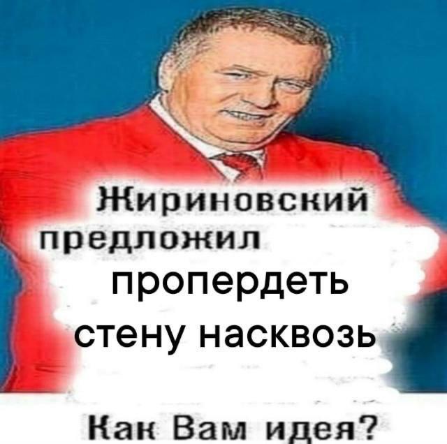 Жириновский предложил пропердеть стену насквозь Кан Вам и пея?