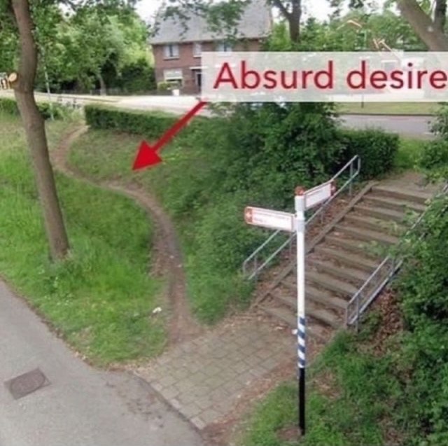 Absurd desire