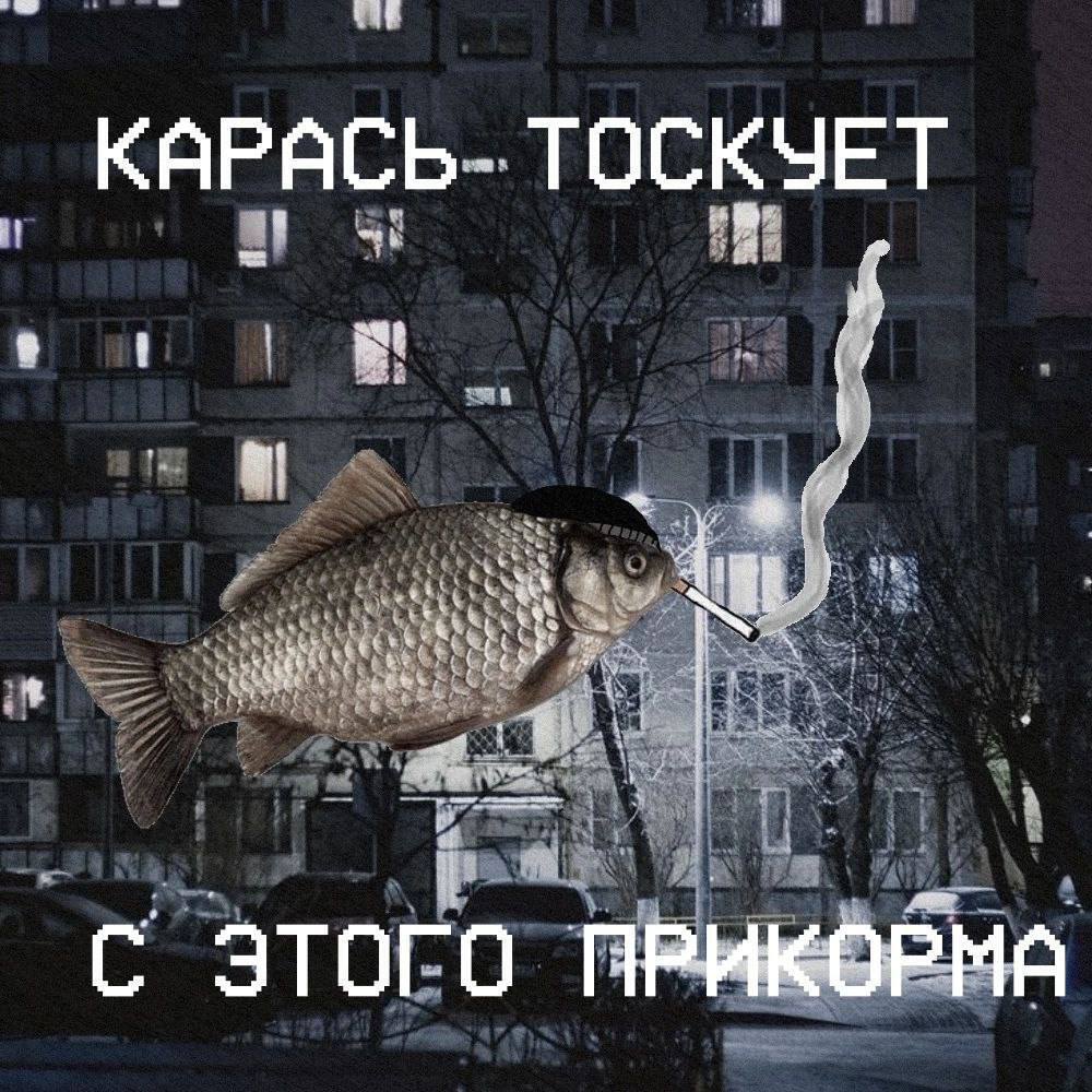 КАРАСЬ. TOCKYET С ЭТОГО