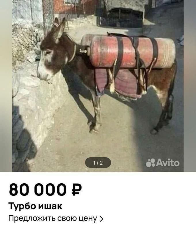 Турбо ишак Предложить свою цену
