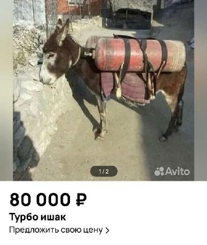 Турбо ишак Предложить свою цену