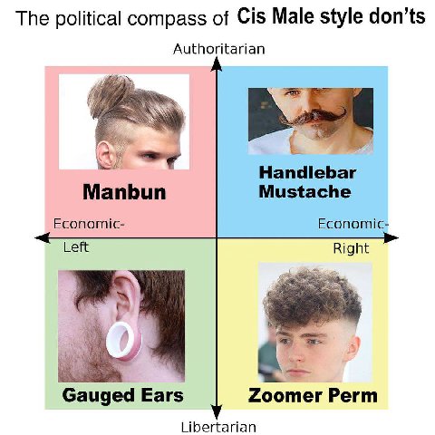 The political compass of Cis Male style don’ts Authoritarian Handlebar Manbun Mustache Economic- Economic- Left Right к. Gauged Ears Zoomer Perm Libertarian