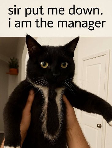 sir put me down. Гат the manager