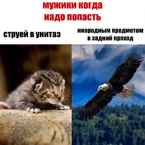 мужики когда надо попасть инородным предметом струей в унитаз задний проход