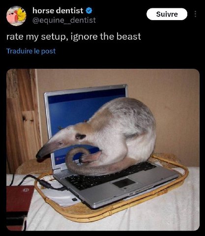 horse dentist зиме rate my setup, 15поге the beast at