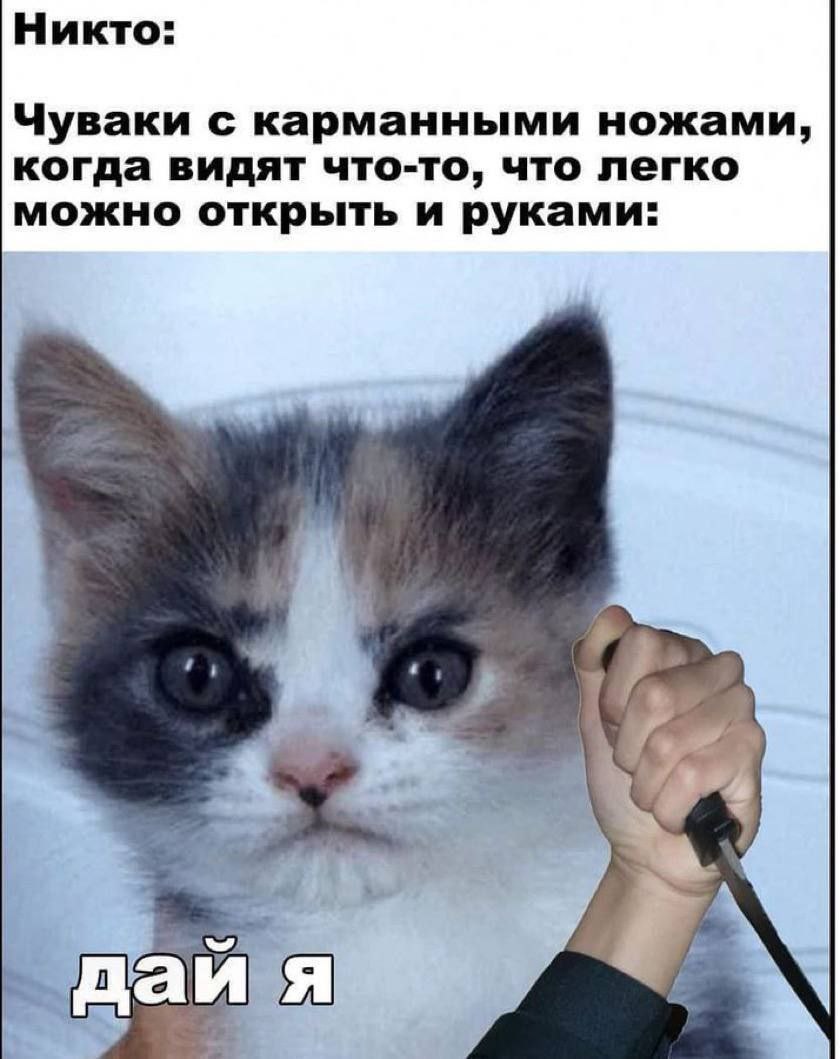 Никто: Чуваки с карманными ножами, когда видят что-то, что легко можно открыть и руками: дай я