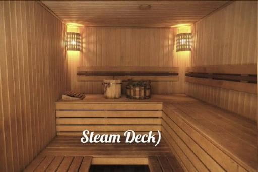 Steam Deck)