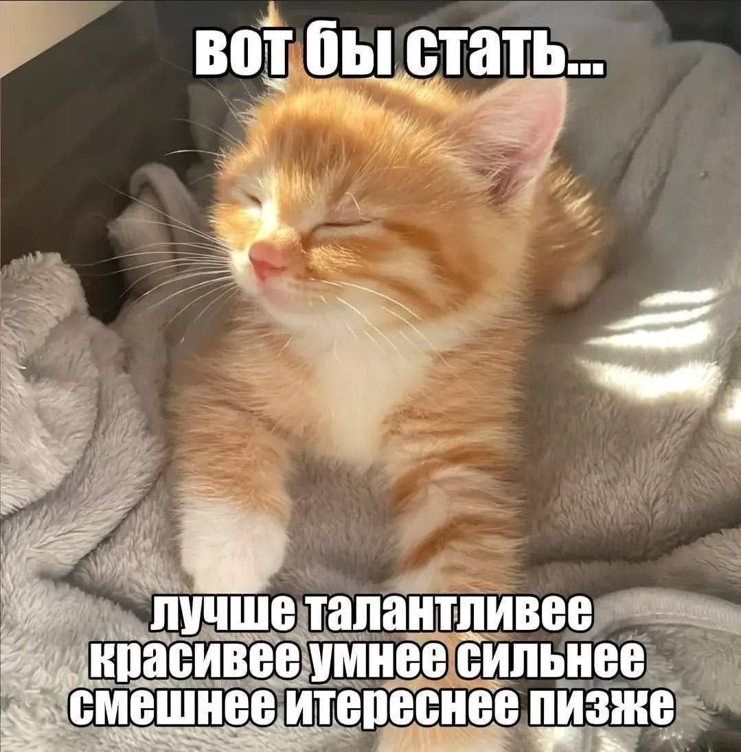 у вот бы стать... лучше талантливее умнее сильнее итереснее пизже