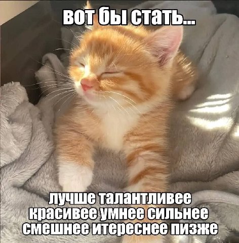 у вот бы стать... лучше талантливее умнее сильнее итереснее пизже