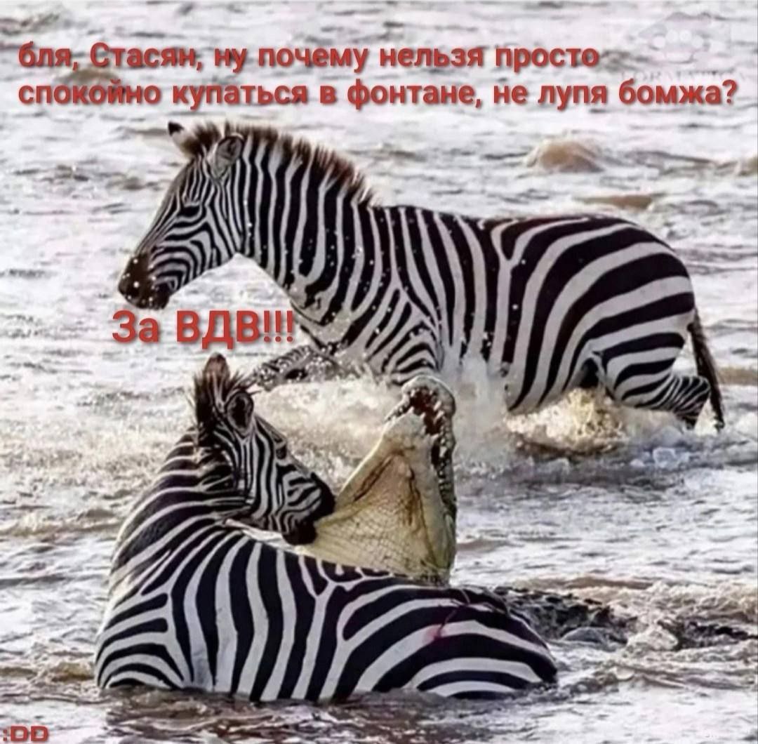 почему нельзя спок купаться в фонтане, не лупя бомжа? За