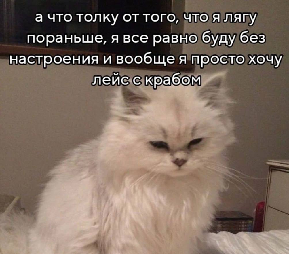 а что толку от того, что я лягу пораньше, я все равно буду без настроения и вообще я просто хочу лейс с крабом