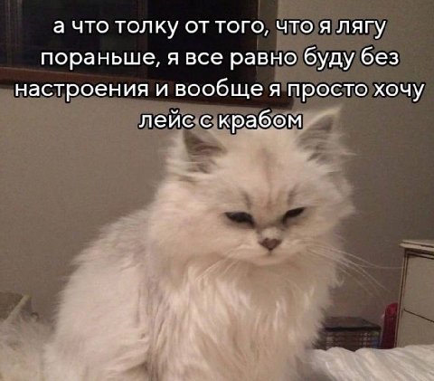 а что толку от того, что я лягу пораньше, я все равно буду без настроения и вообще я просто хочу лейс с крабом
