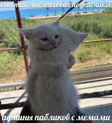 падликов с мемами