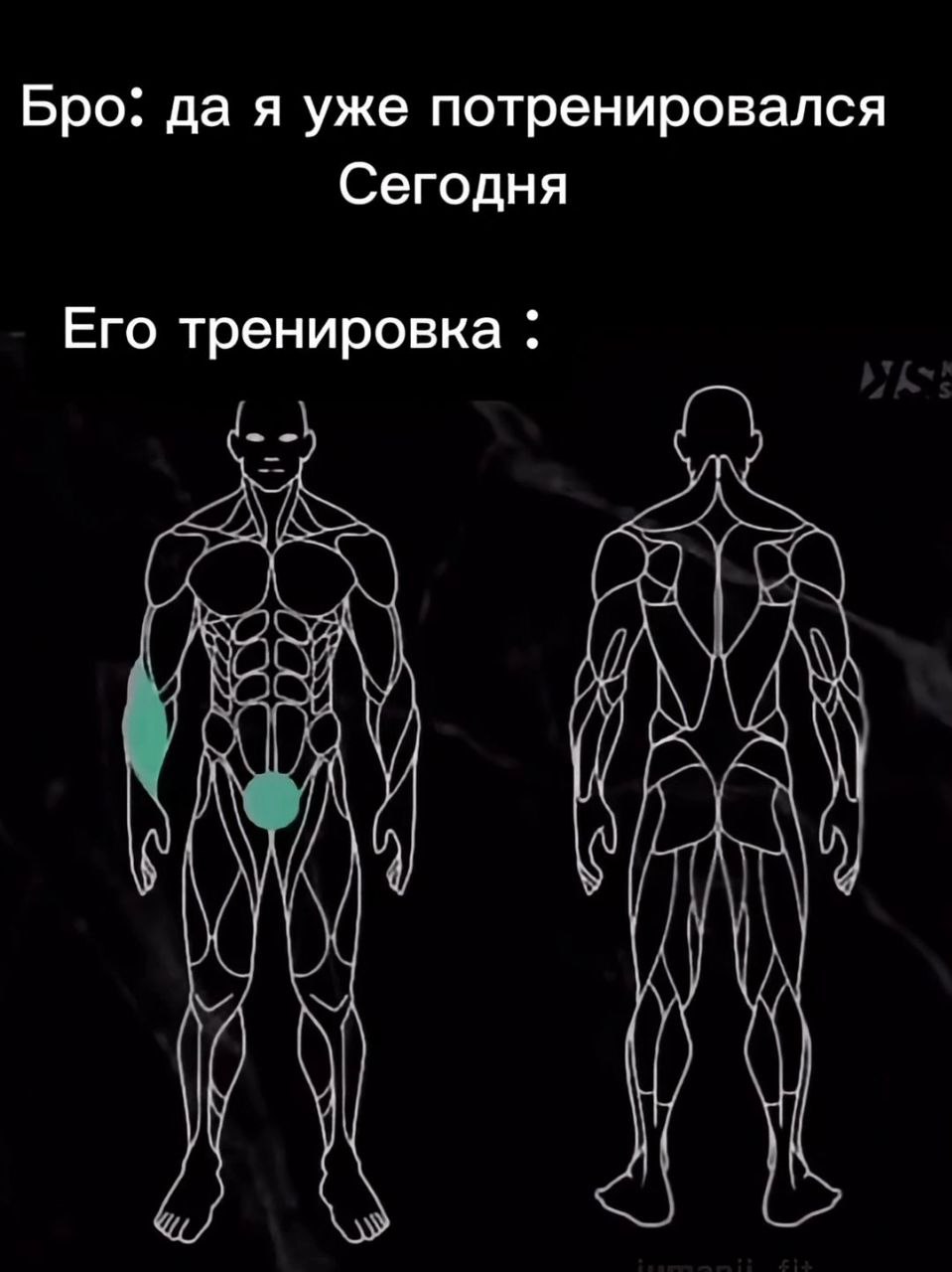 Бро: да я уже потренировался Сегодня Его тренировка