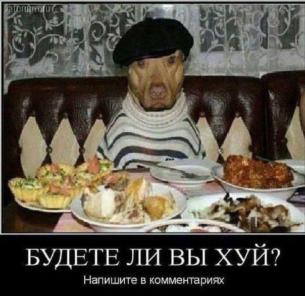 БУДЕТЕ ЛИ ВЫ ХУИ? Напишите в комментариях