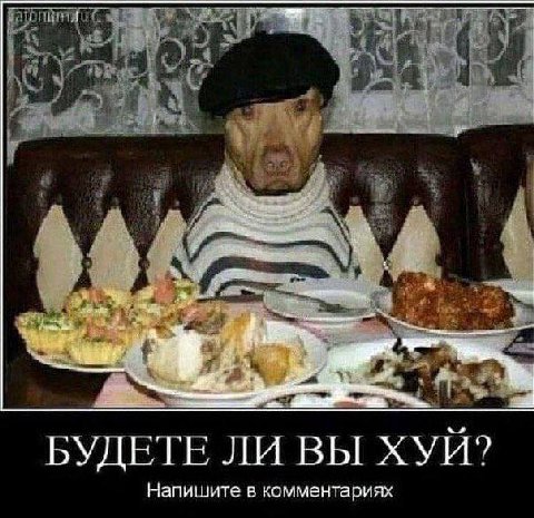 БУДЕТЕ ЛИ ВЫ ХУИ? Напишите в комментариях