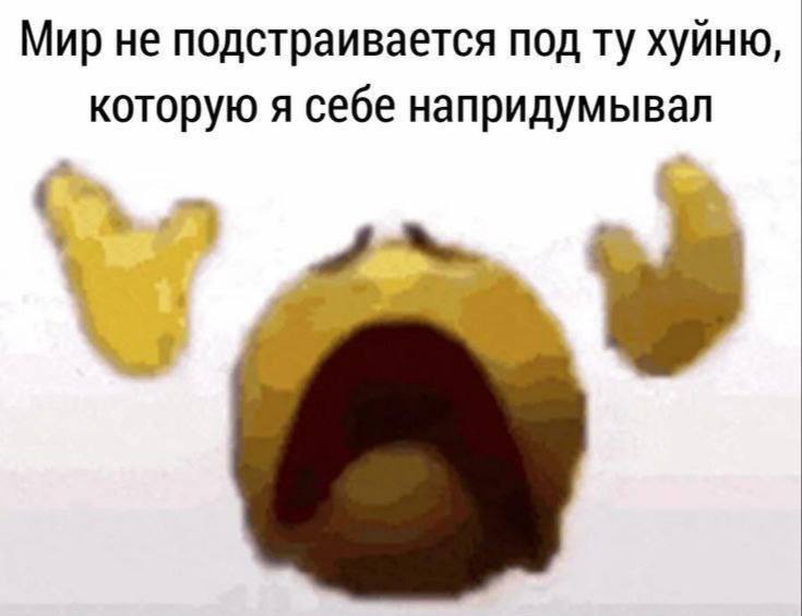 Мир не подстраивается под хуйню, которую я себе напридумывал