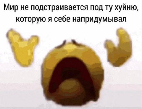 Мир не подстраивается под хуйню, которую я себе напридумывал