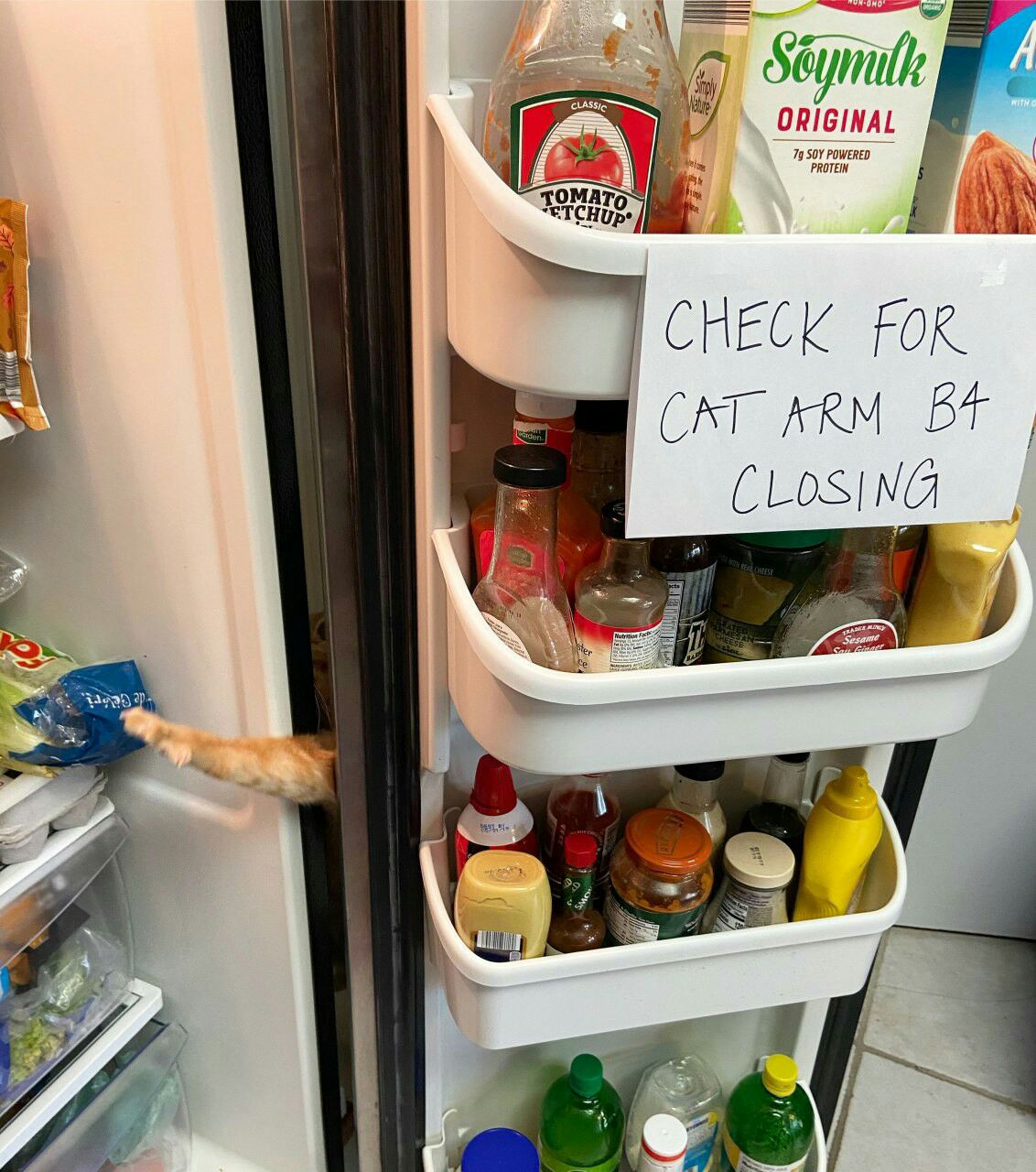 a ORIGINAL CHECK FOR. CAT CLOSING 4