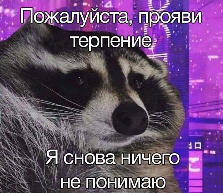 Пожалуйста, прояви терпение: Я снова ничего не понимаю