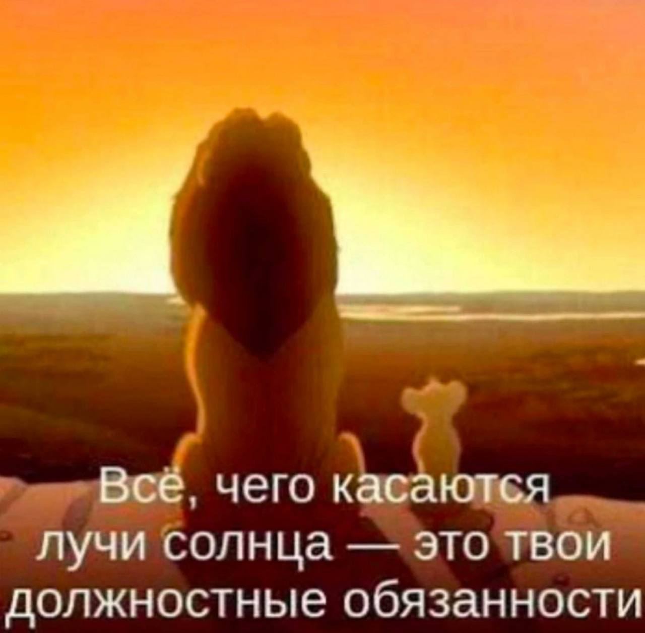 Все. чего касаются лучи солнца это твои должностные обязанности