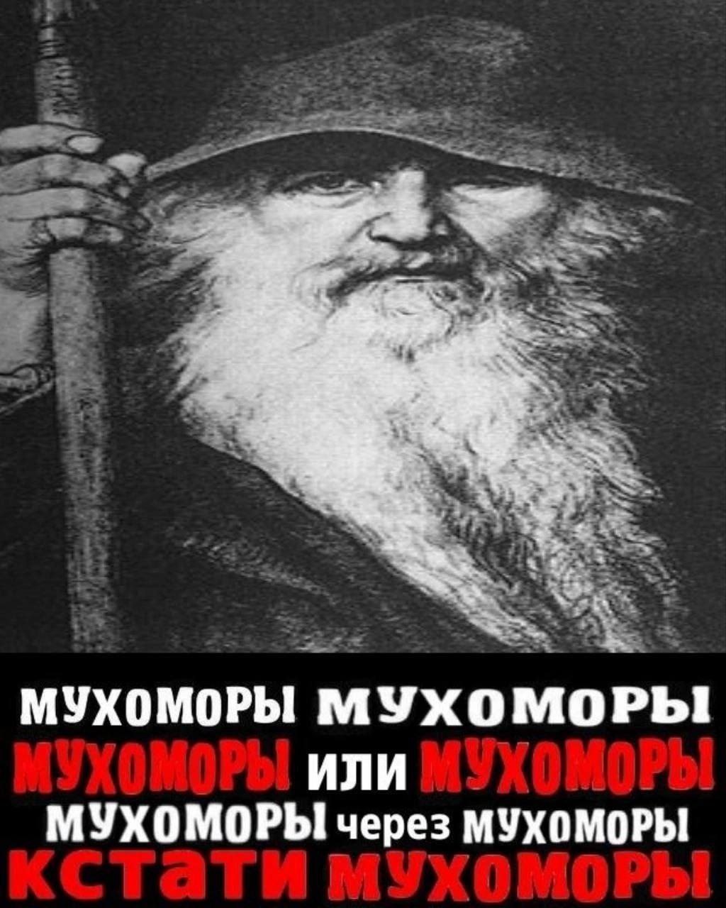 МУХОМОРЫ МУХОМОРЫ ИЛИ МУХОМОРЫ через МУХОМОРЫ