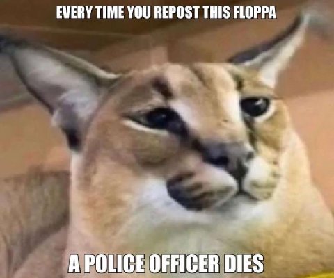 EVERY TIME YOU REPOST THIS FLOPPA 4 A POLICE OFFICER DIES