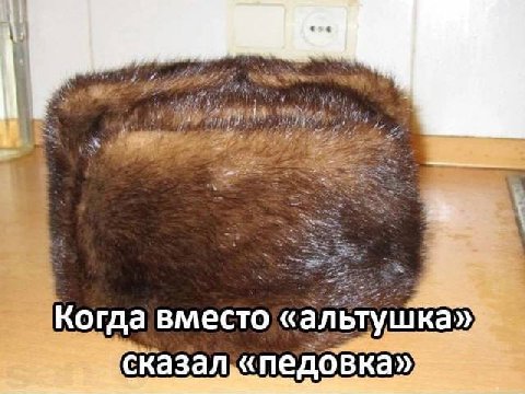 eve Gite: тушка Когда вместо С