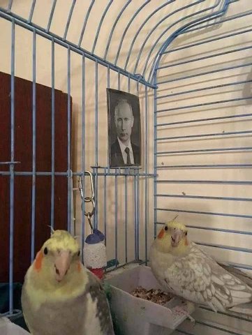 у