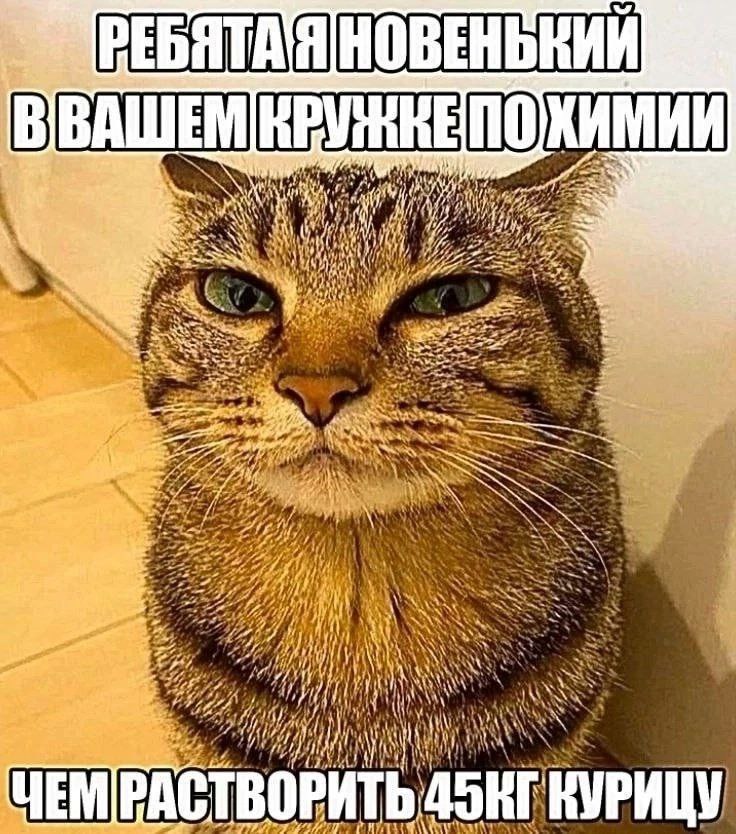 РЕБЯ A ЯНОВ BIBAL че omy if hay’ a 4 “4 4 AN 5 it pil „1 ЧЕМ PACTBOPHTb ВУРИ