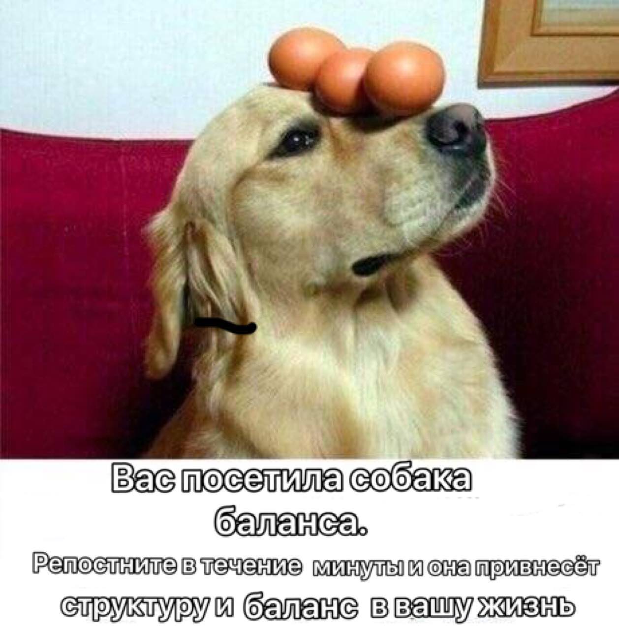 Me