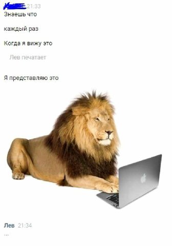 Знаешь что каждый раз Когда я вижу это Пев печатает Я представляю это 4 Лев