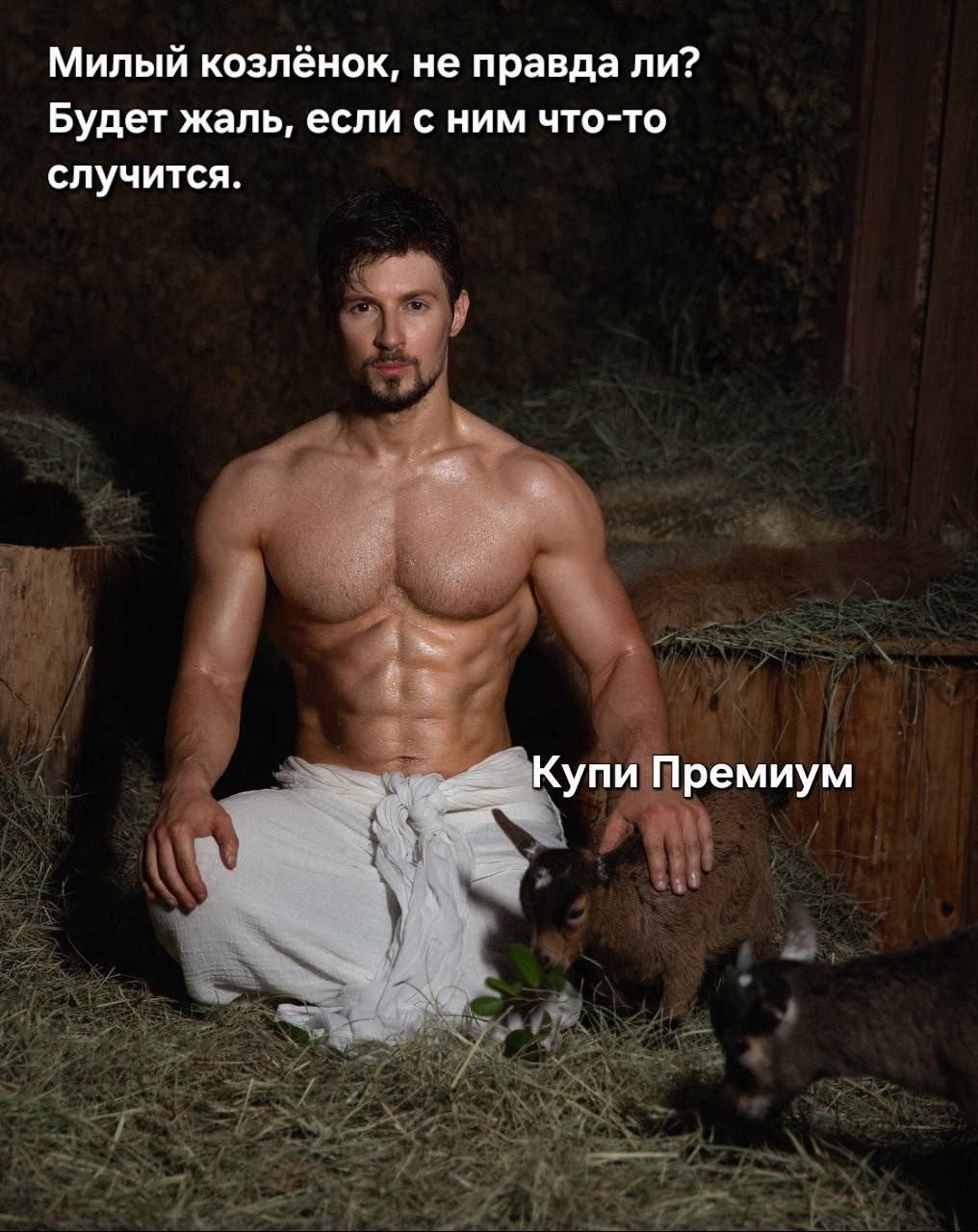 Милый козлёнок, не правда ли? Будет жаль, если с ним что-то случится. Купи Премиум
