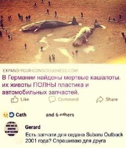 A 2 EXPAND-YOUR-CON В Германии найдены мертвые кашалоты. животы ПОЛНЫ пластика и автомобильных запчастей. Like Comment Share Cath and 6 others Gerard Есть запчати для седана Subaru Outback 2001 года? 
